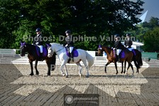 ref. photo 3691291