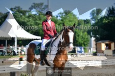 ref. photo 3691349