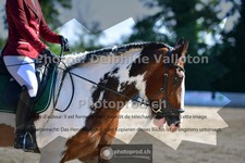 ref. photo 3691351