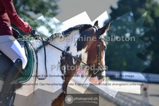 ref. photo 3691362