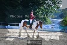 ref. photo 3691376