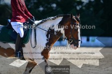 ref. photo 3691381