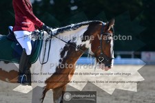 ref. photo 3691382