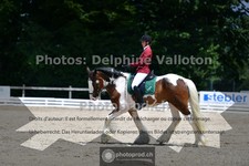 ref. photo 3691434