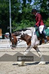 ref. photo 3691455