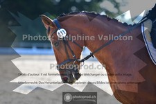 ref. photo 3691490