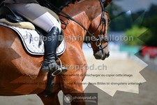 ref. photo 3691501