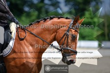 ref. photo 3691512