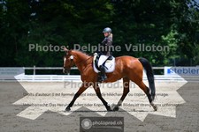 ref. photo 3691513