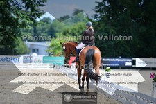ref. photo 3691516