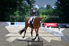 ref. photo 3691517