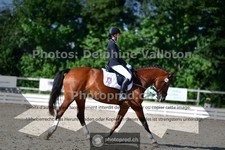 ref. photo 3691590