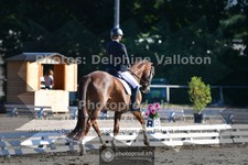 ref. photo 3691604