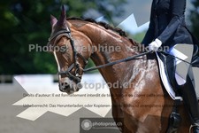 ref. photo 3691683