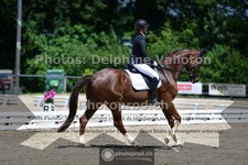 ref. photo 3691684