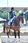 ref. photo 3691694