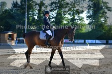 ref. photo 3691715