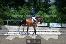 ref. photo 3691819