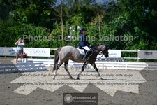 ref. photo 3691854