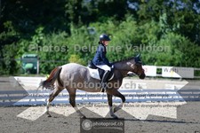 ref. photo 3691863