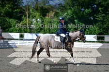 ref. photo 3691864