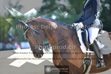 ref. photo 3691879
