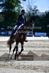 ref. photo 3691912