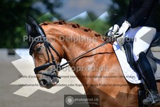 ref. photo 3692020
