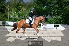 ref. photo 3692030