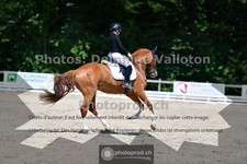 ref. photo 3692031