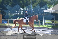 ref. photo 3692046