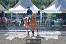 ref. photo 3692048
