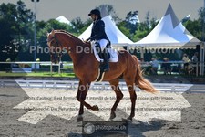 ref. photo 3692050
