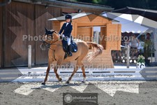ref. photo 3692073