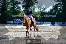 ref. photo 3692104