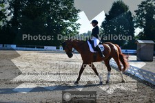 ref. photo 3692109
