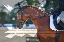 ref. photo 3692118