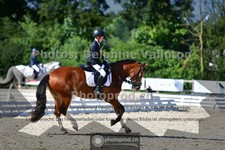 ref. photo 3692188