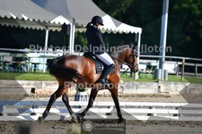 ref. photo 3692230