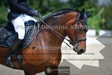 ref. photo 3692274