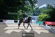 ref. photo 3692304