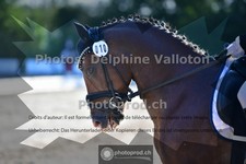 ref. photo 3692603