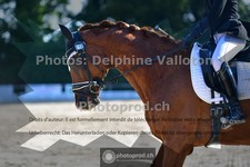 ref. photo 3692790