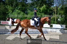 ref. photo 3692828