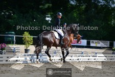 ref. photo 3692953
