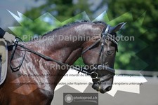 ref. photo 3692969