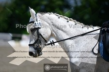 ref. photo 3693005