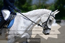ref. photo 3693009
