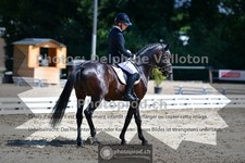 ref. photo 3693102