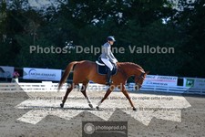 ref. photo 3693144